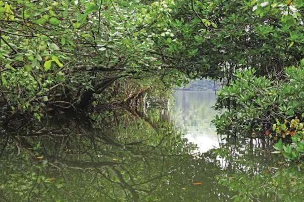 Sithu Villa Hikkaduwa Luaran gambar